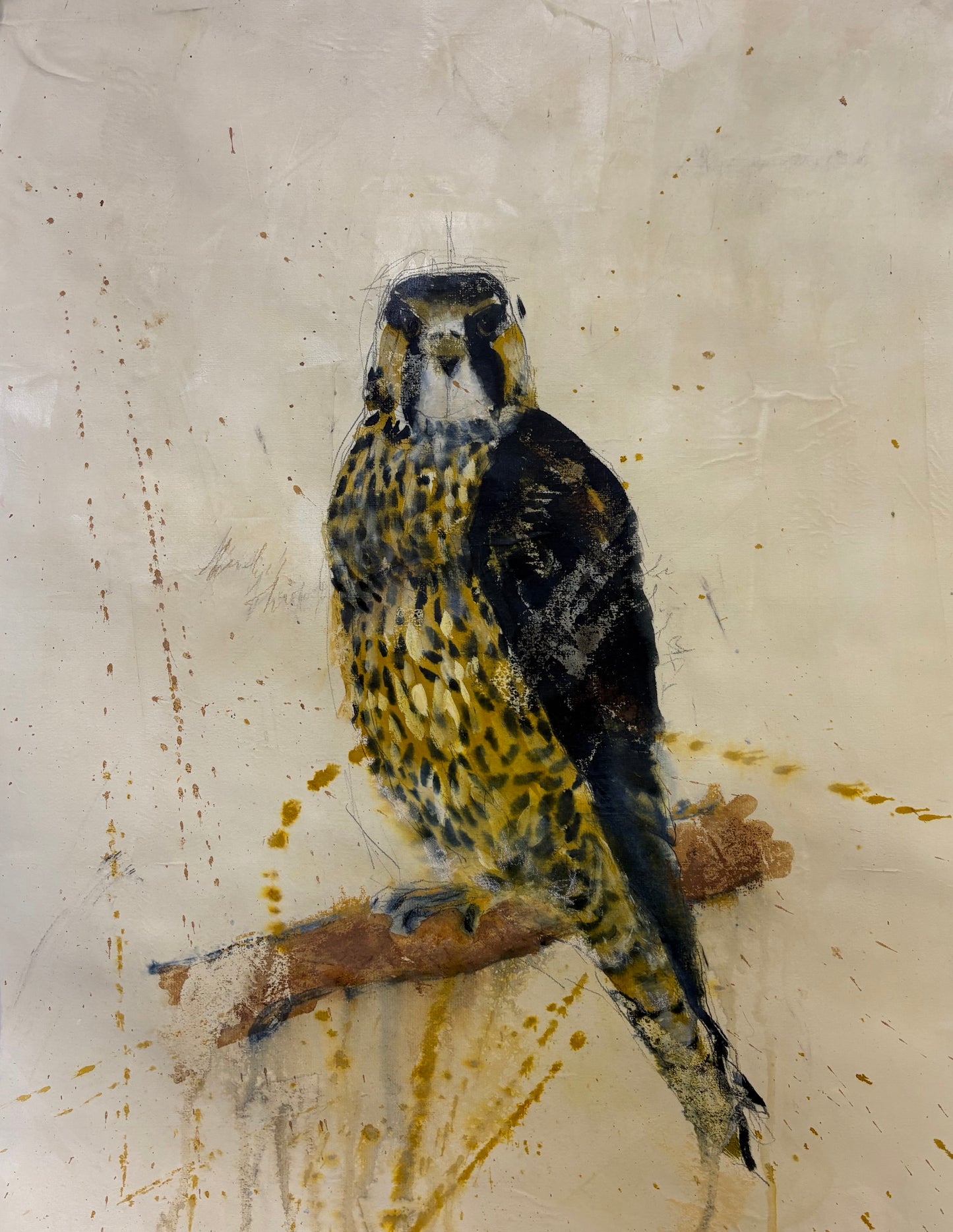 Falcon perched on a branch with a textured beige background